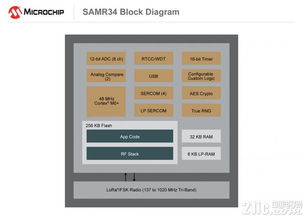 microchip搁置在华建厂 ceo称花时间过长