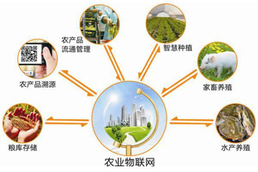 智慧农业的未来前景 无线信息化的无限可能